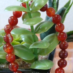 Bracelet en cornaline rouge (8 mm)