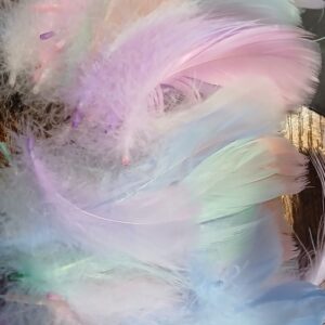 plumes colorées