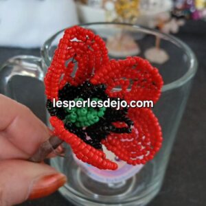 coquelicot rocaille