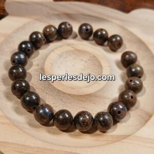 bronzitite