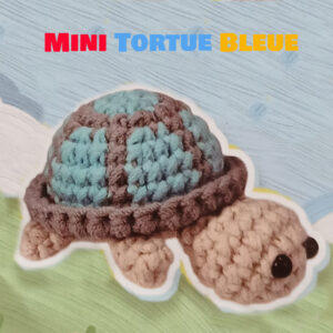 mini tortue bleue kit crochet