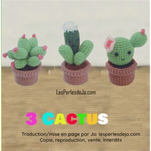 kit 3 cactus au crochet